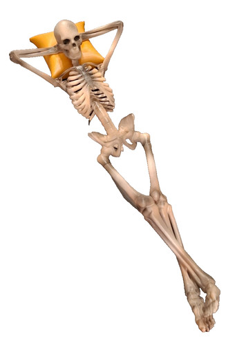 Skelett halloween grusel - skelett,, halloween,