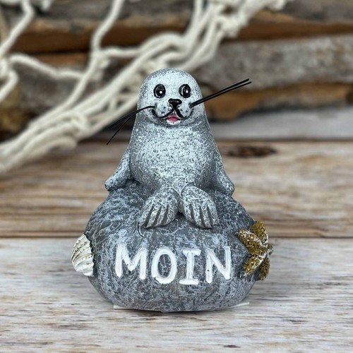 Kleine robbe auf stein moin - kleine,