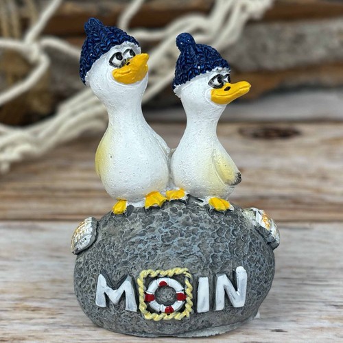 Lustige möwen mit mütze - lustige,