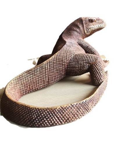 Komodowaran reptil varan - komodowaran,
